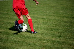 ac米兰官网-中国篮球教练员战术执行能力评估体系，中国篮球教练员培训等级